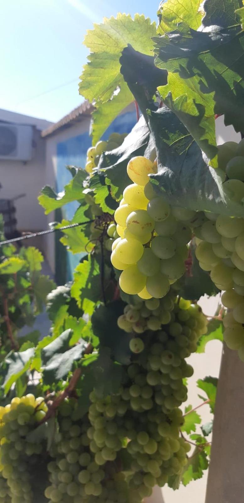 Casa Le Gebbie Villa Marzamemi Ngoại thất bức ảnh
