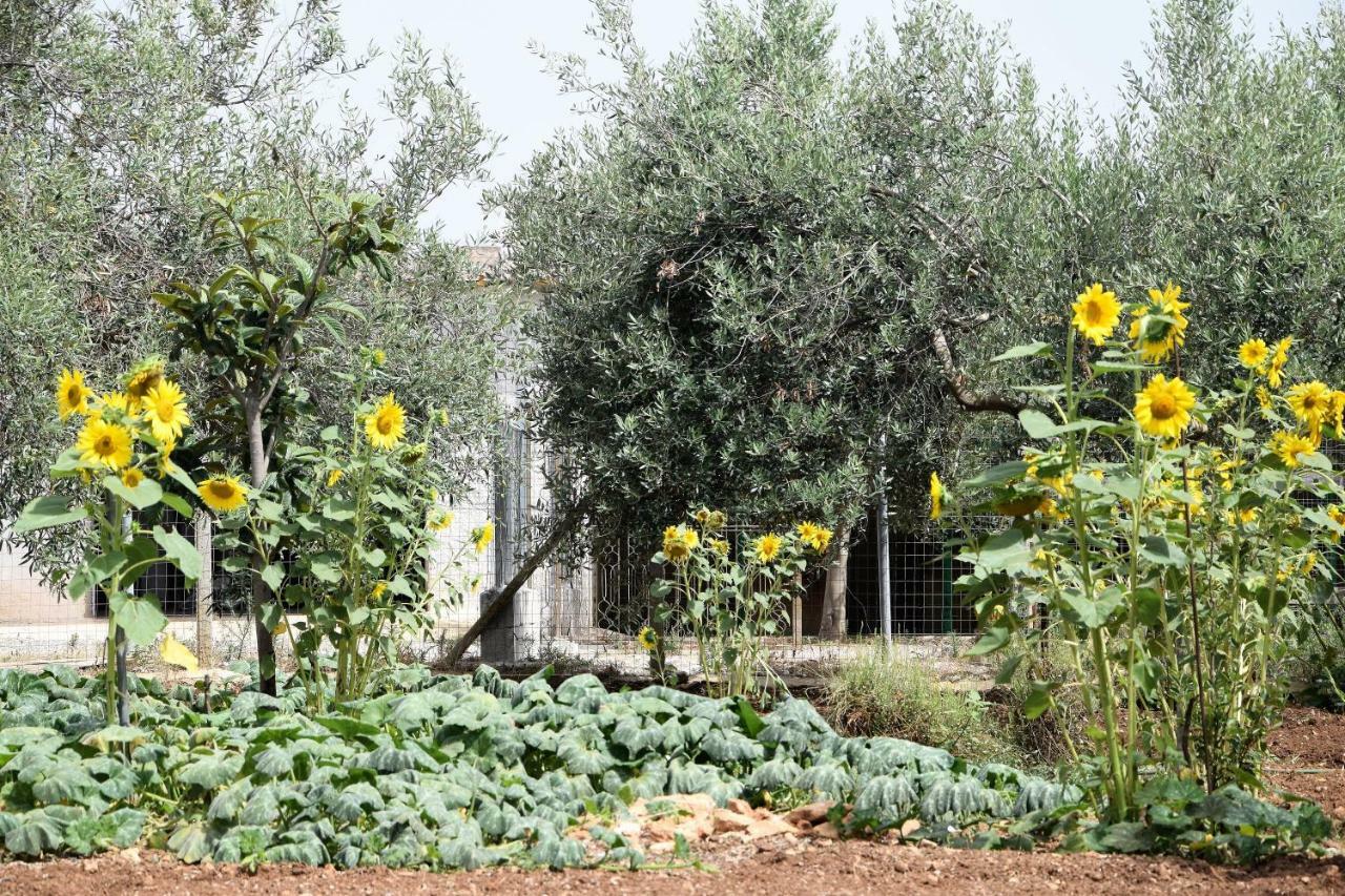 Casa Le Gebbie Villa Marzamemi Ngoại thất bức ảnh