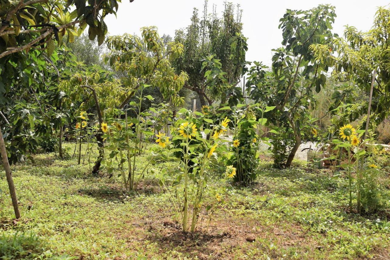 Casa Le Gebbie Villa Marzamemi Ngoại thất bức ảnh